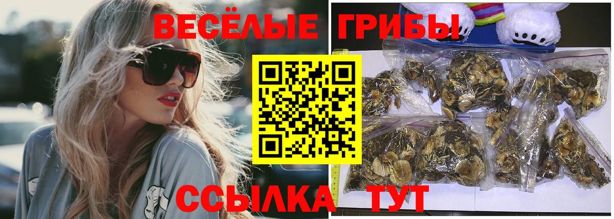 Гашиш  COCAIN  МЕТ  Александров  Вход с VPN  Гашиш  Бошки Шишки  Мефедрон кристаллы  МДМА 