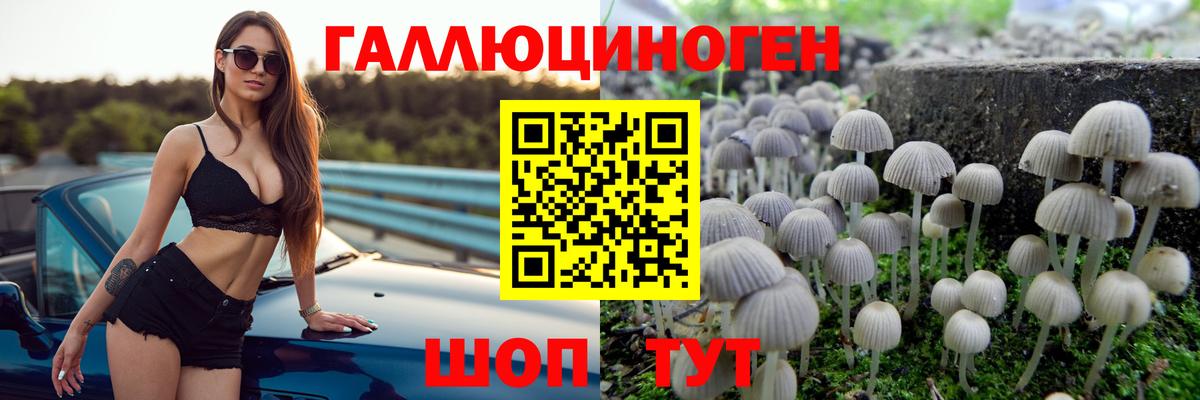 Галлюциногенные грибы Magic Shrooms  Вход с VPN  Александров 